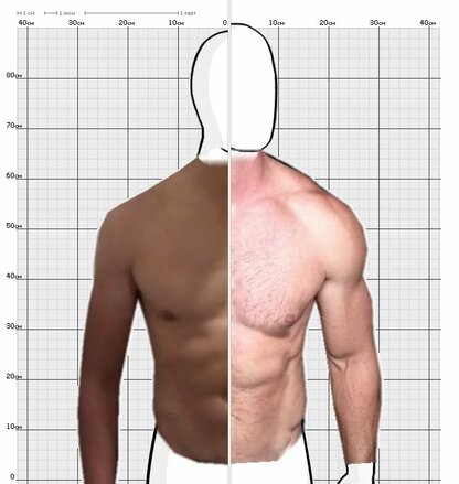 Torso Comparison