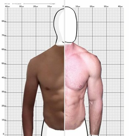 Torso Comparison