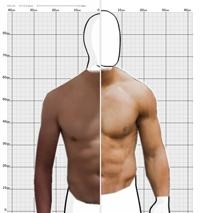 Torso Comparison