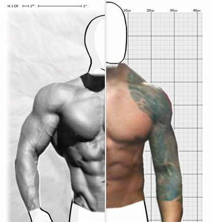 Torso Comparison