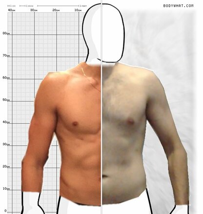 Torso Comparison