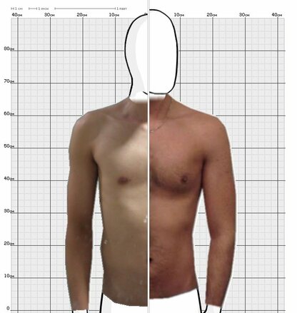 Torso Comparison