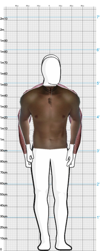 Full Size Comparison