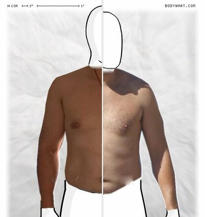 Torso Comparison