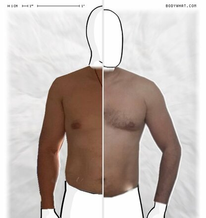 Torso Comparison