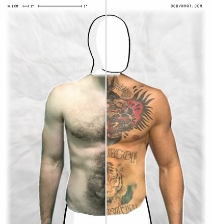 Torso Comparison