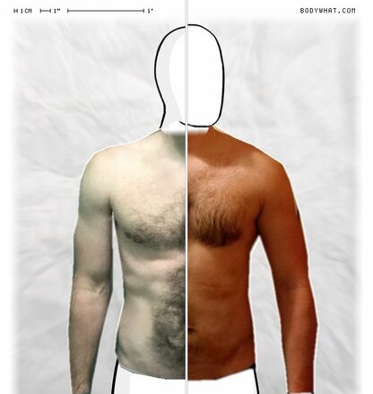 Torso Comparison