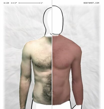 Torso Comparison