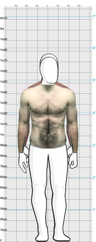 Full Size Comparison