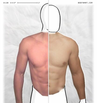 Torso Comparison