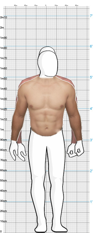 Full Size Comparison