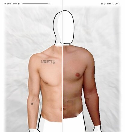 Torso Comparison