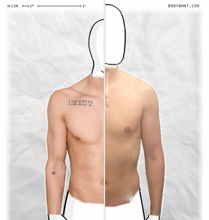 Torso Comparison