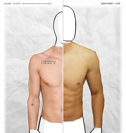 Torso Comparison