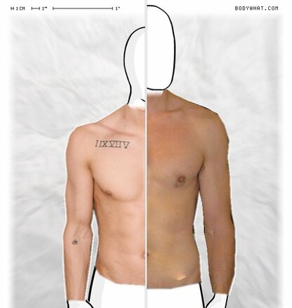 Torso Comparison