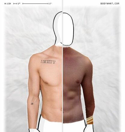 Torso Comparison