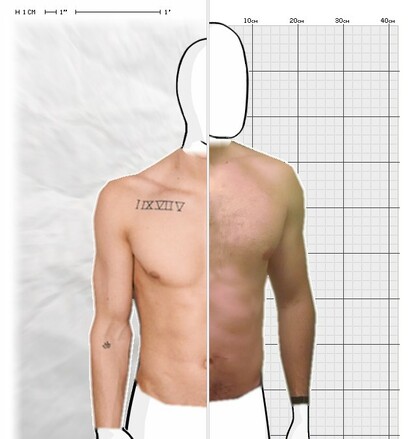 Torso Comparison