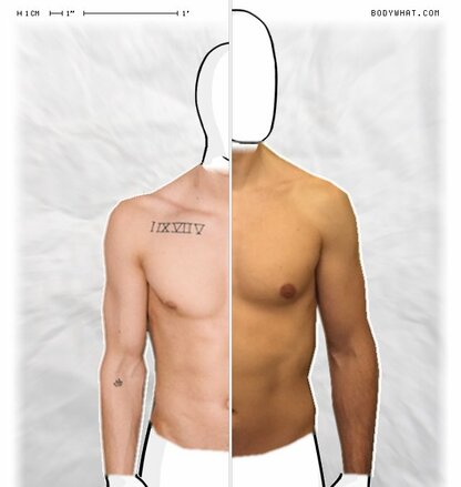 Torso Comparison