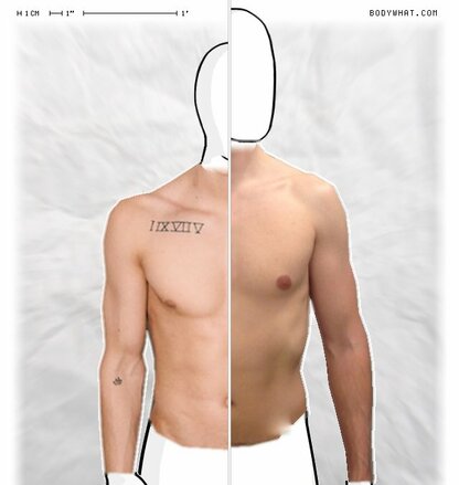 Torso Comparison