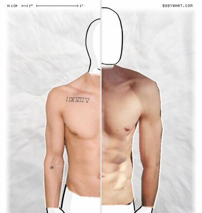 Torso Comparison