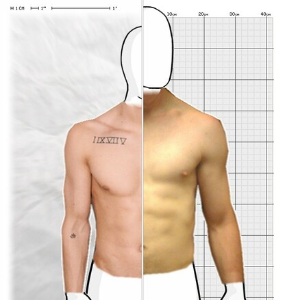 Torso Comparison