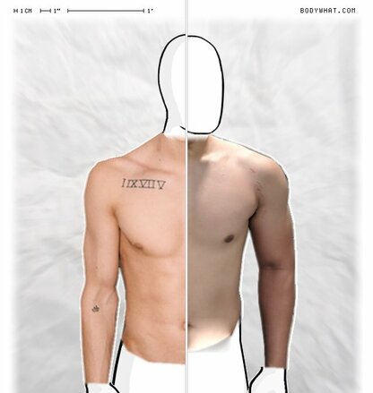 Torso Comparison