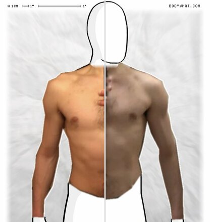 Torso Comparison