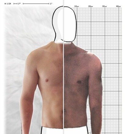 Torso Comparison