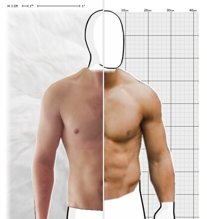 Torso Comparison