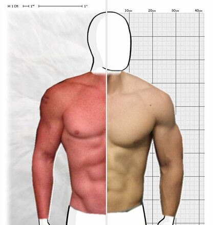 Torso Comparison