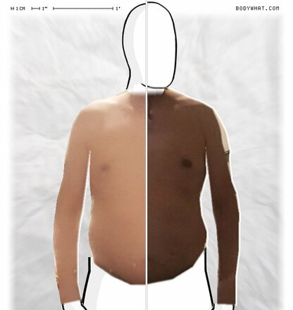 Torso Comparison