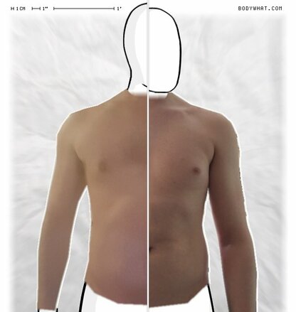 Torso Comparison