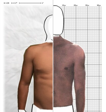 Torso Comparison