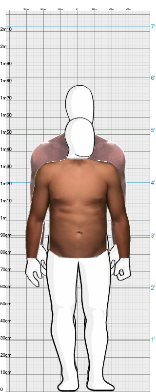 Full Size Comparison