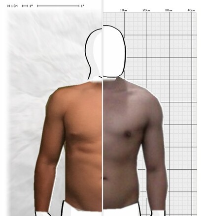 Torso Comparison