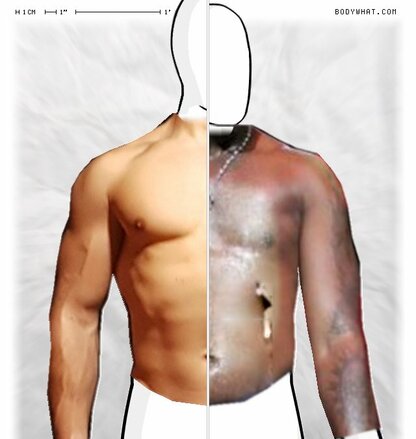 Torso Comparison