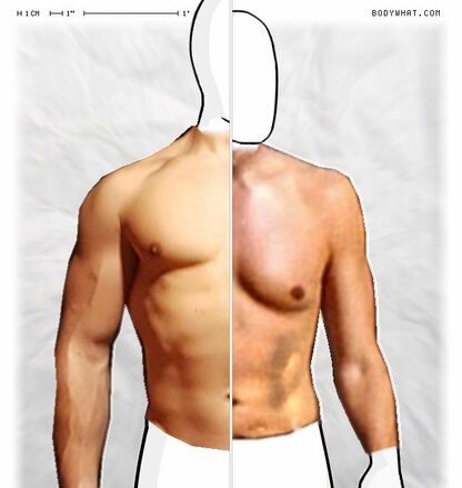 Torso Comparison