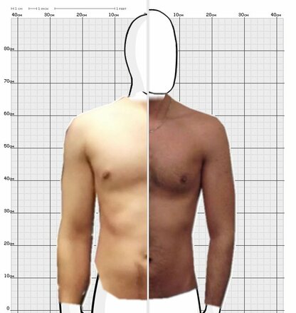 Torso Comparison