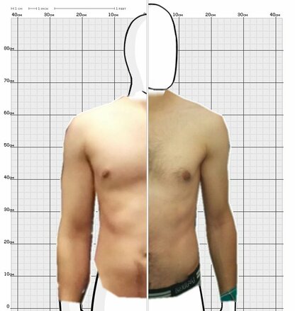 Torso Comparison