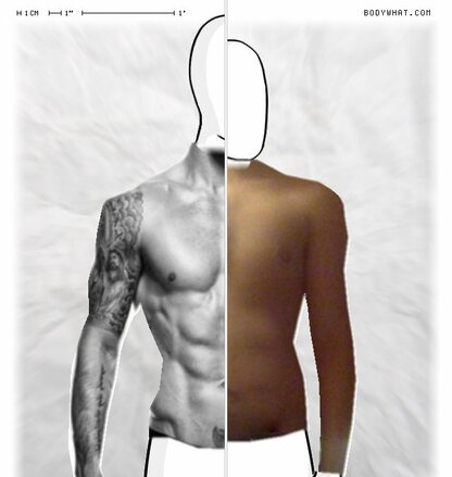 Torso Comparison