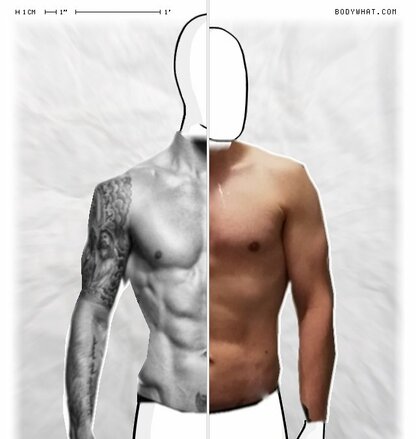 Torso Comparison