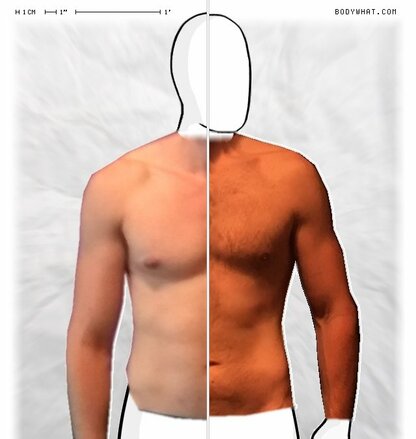 Torso Comparison