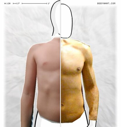 Torso Comparison