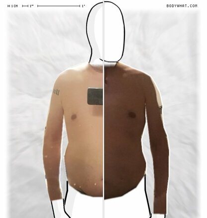 Torso Comparison