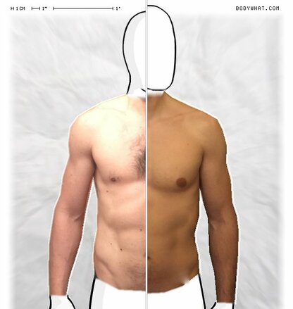 Torso Comparison