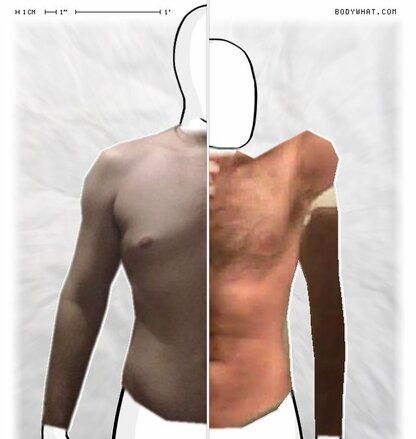 Torso Comparison