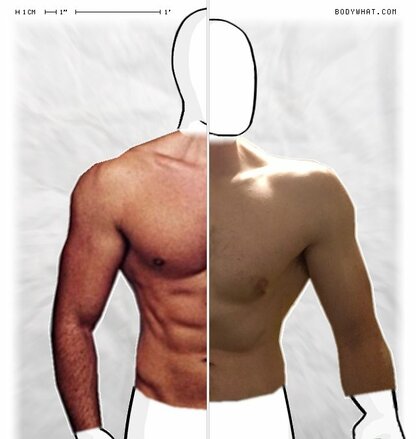 Torso Comparison