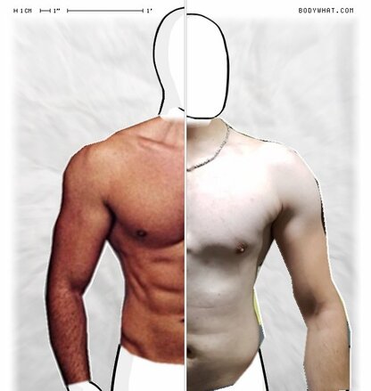 Torso Comparison