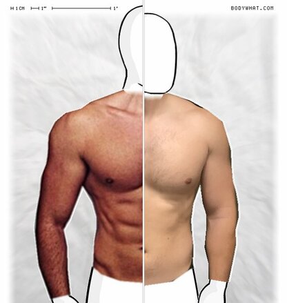 Torso Comparison