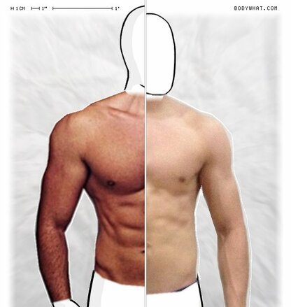 Torso Comparison